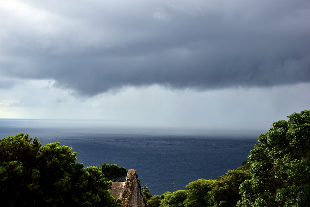 a view of the ocean from a hill