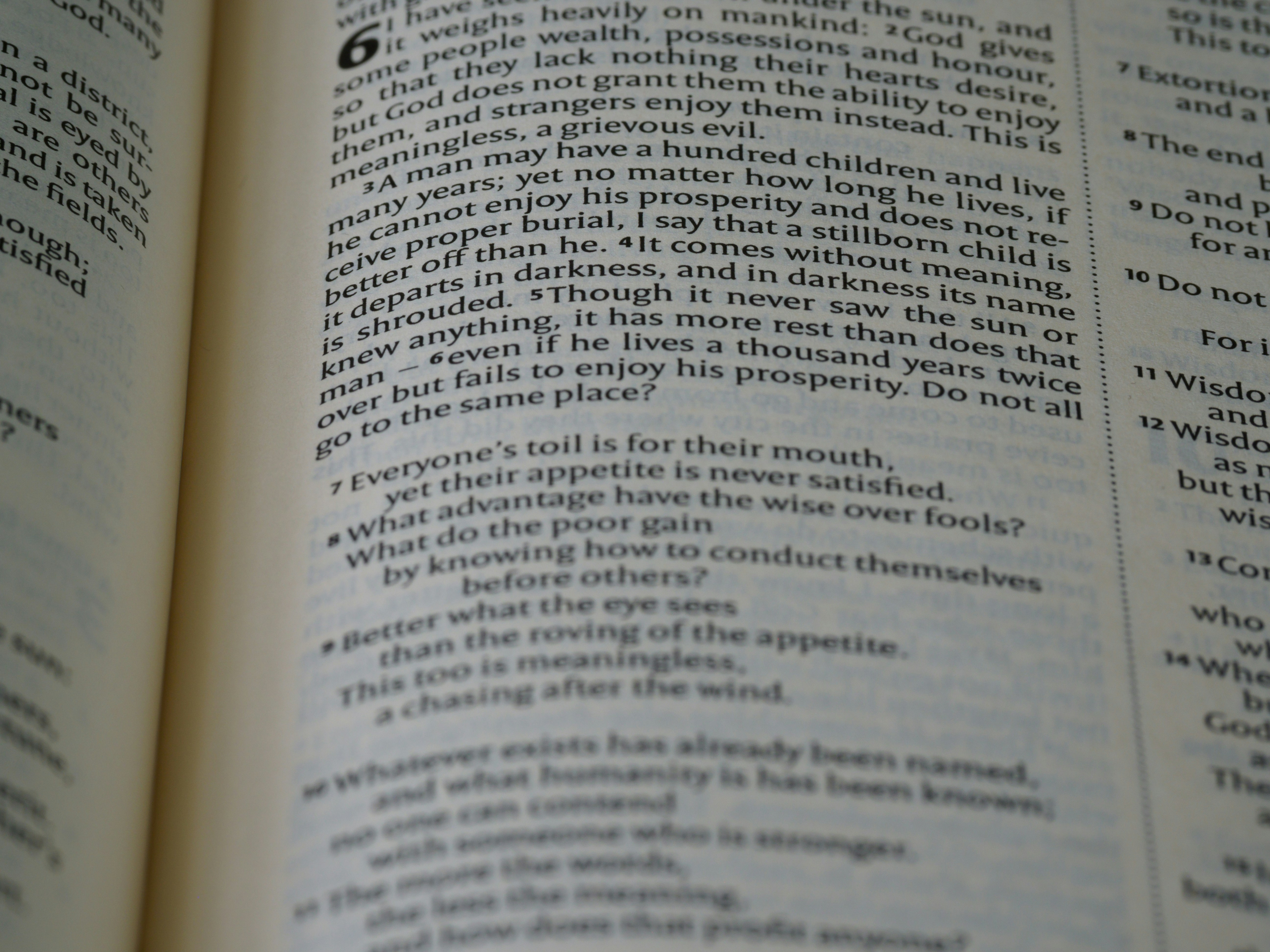 photo-1668070878693-3234871350c5?ixid=M3wxMjA3fDB8MXxzZWFyY2h8MTV8fCVFMCVCOCU5NyVFMCVCOCVCMiVFMCVCOCU4NyVFMCVCOSU4MCVFMCVCOCU4MiVFMCVCOSU4OSVFMCVCOCVCMiUyMHVmYWJldCUyMCVFMCVCOCVBMSVFMCVCOCVCNyVFMCVCOCVBRCVFMCVCOCU5NiVFMCVCOCVCNyVFMCVCOCVBRHxlbnwwfHx8fDE3NTI5NjA5OTJ8MA\u0026ixlib=rb-4.1.0