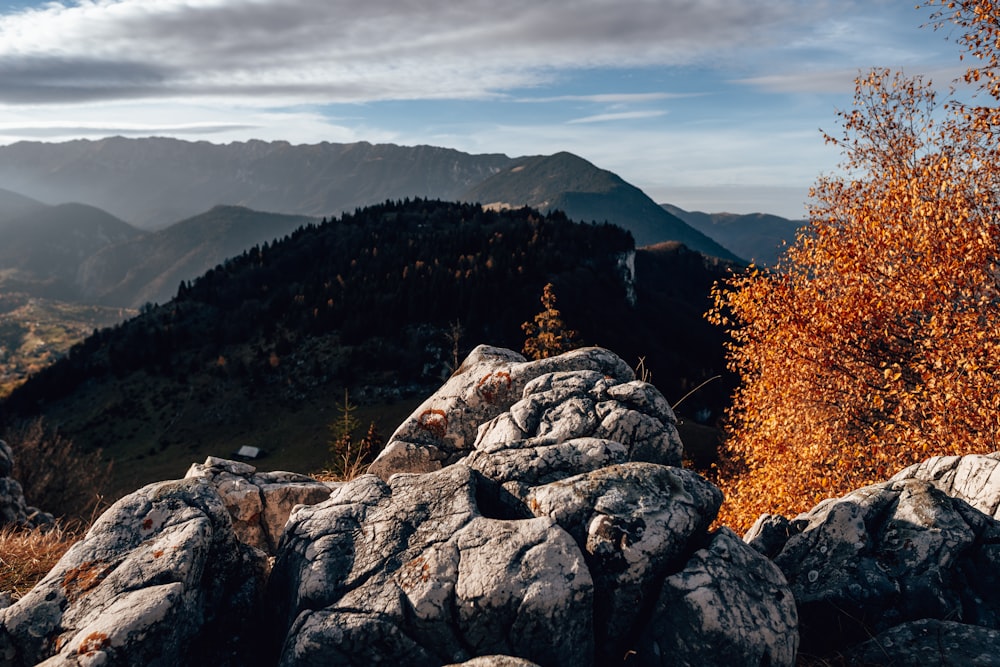 a rocky mountain with trees and mountains in the background