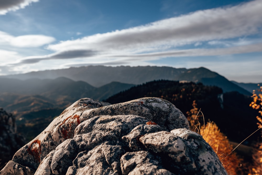 a rocky mountain with trees