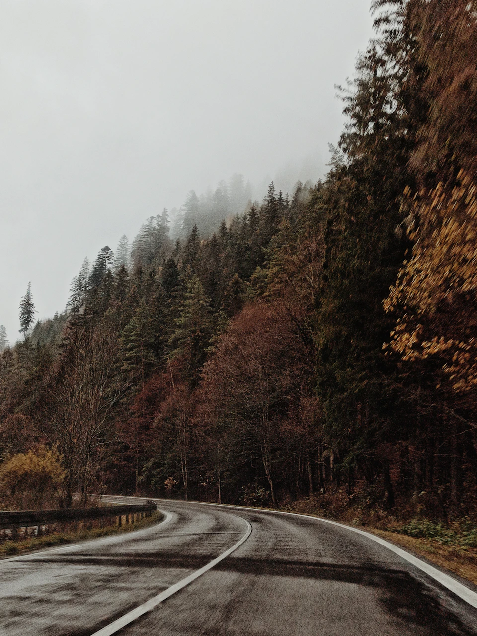 Winding road through forested area with foggy sky and tall trees on either side