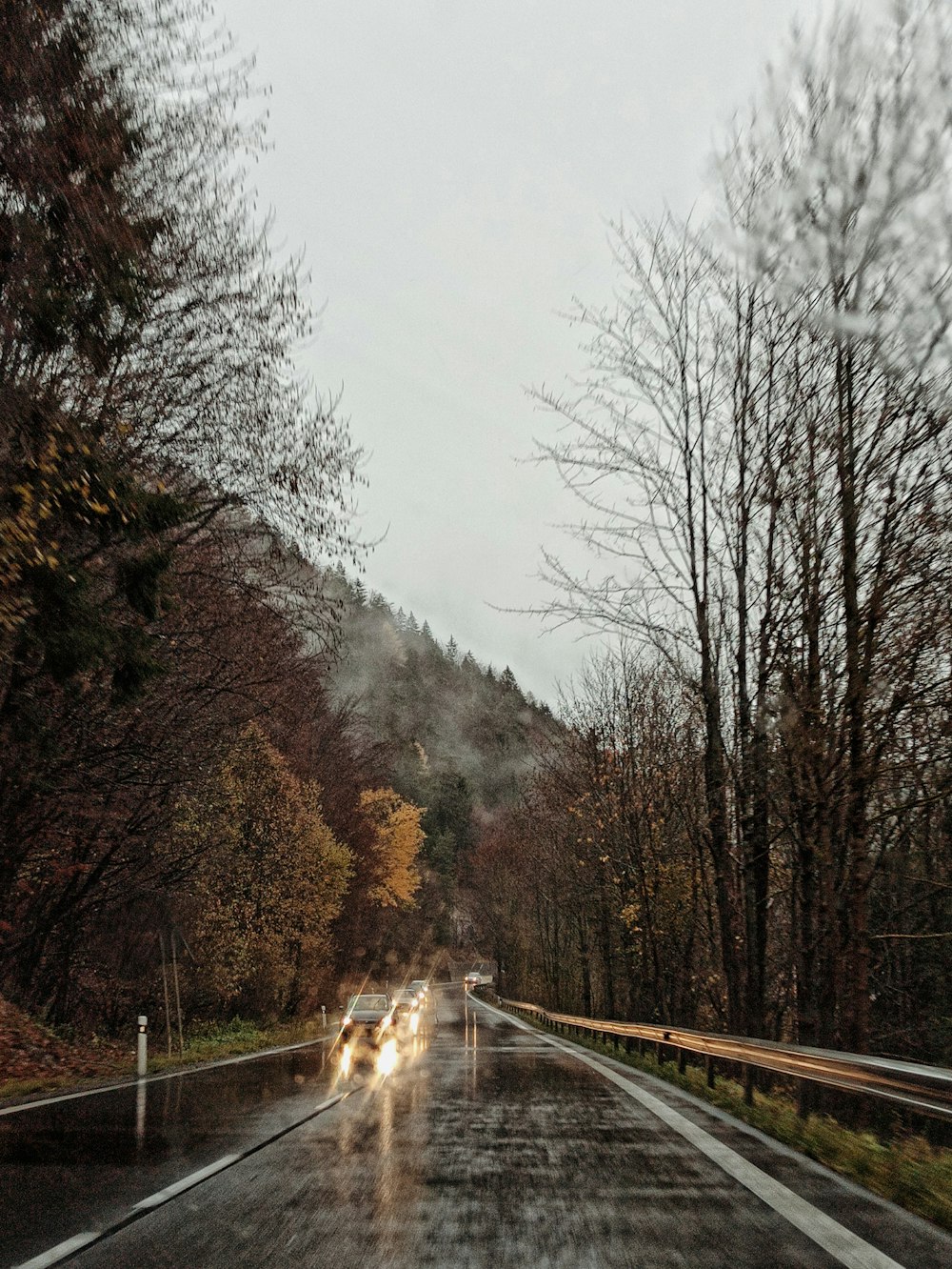 a road with trees on the side