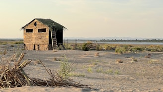 A rustic wooden hut with a thatched roof stands in an open, sandy area with sparse vegetation. A ladder leads up to the entrance of the hut, and there is a collection of sticks and dry grass in the foreground. The landscape stretches out to a body of water, with a line of trees and mountains visible in the distance under a clear sky.