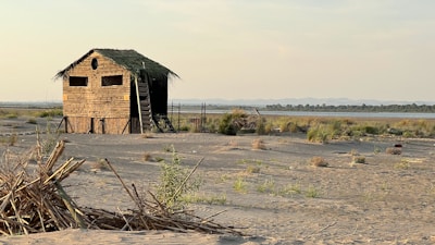 A rustic wooden hut with a thatched roof stands in an open, sandy area with sparse vegetation. A ladder leads up to the entrance of the hut, and there is a collection of sticks and dry grass in the foreground. The landscape stretches out to a body of water, with a line of trees and mountains visible in the distance under a clear sky.