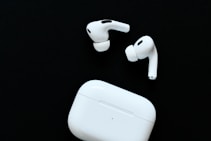 a group of white mouses