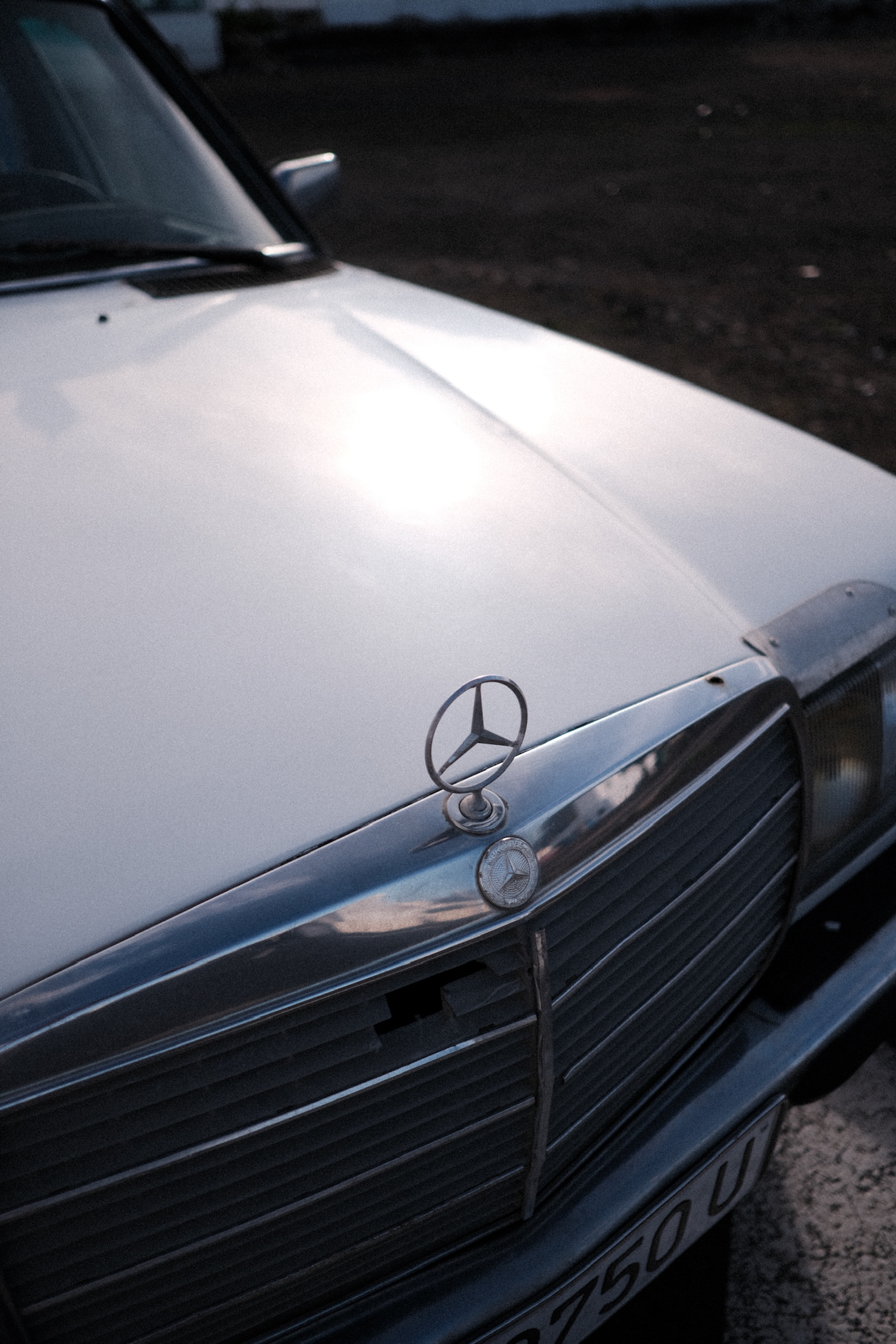 Photo by julenreyazcona