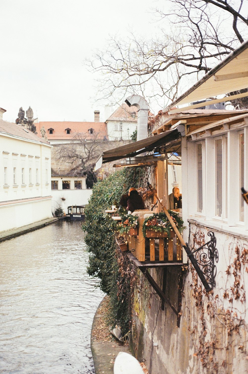 a row of buildings with plants growing on the roof