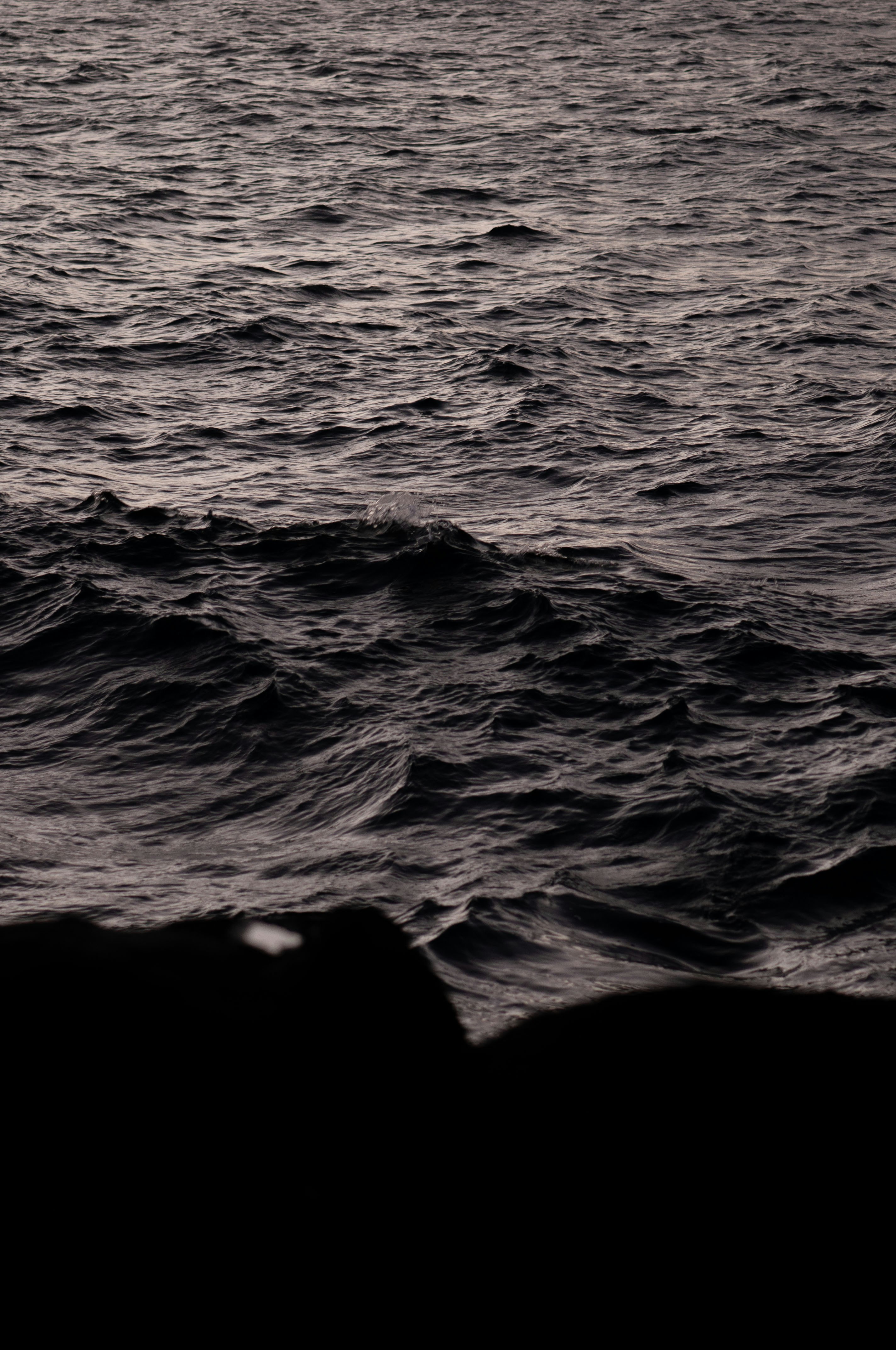 Photo by carlosjonayss