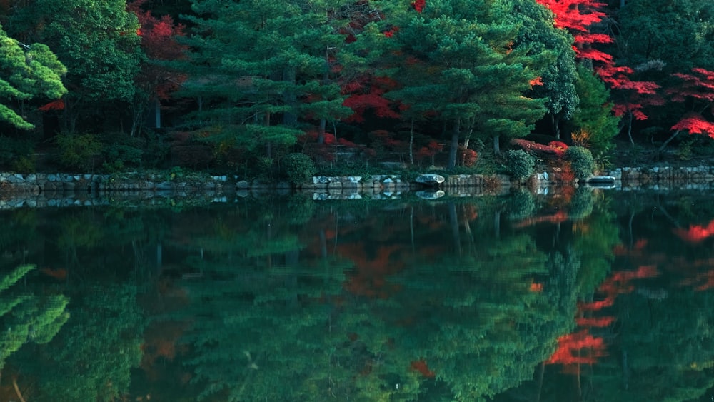um lago com árvores ao seu redor
