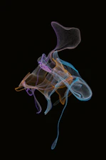 An abstract cloud graphic with digital data streams flowing around it.