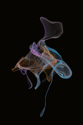 An abstract digital artwork features swirling, smoke-like forms in vibrant colors against a black background. The shapes flow gracefully, intertwining and overlapping with a sense of fluidity.