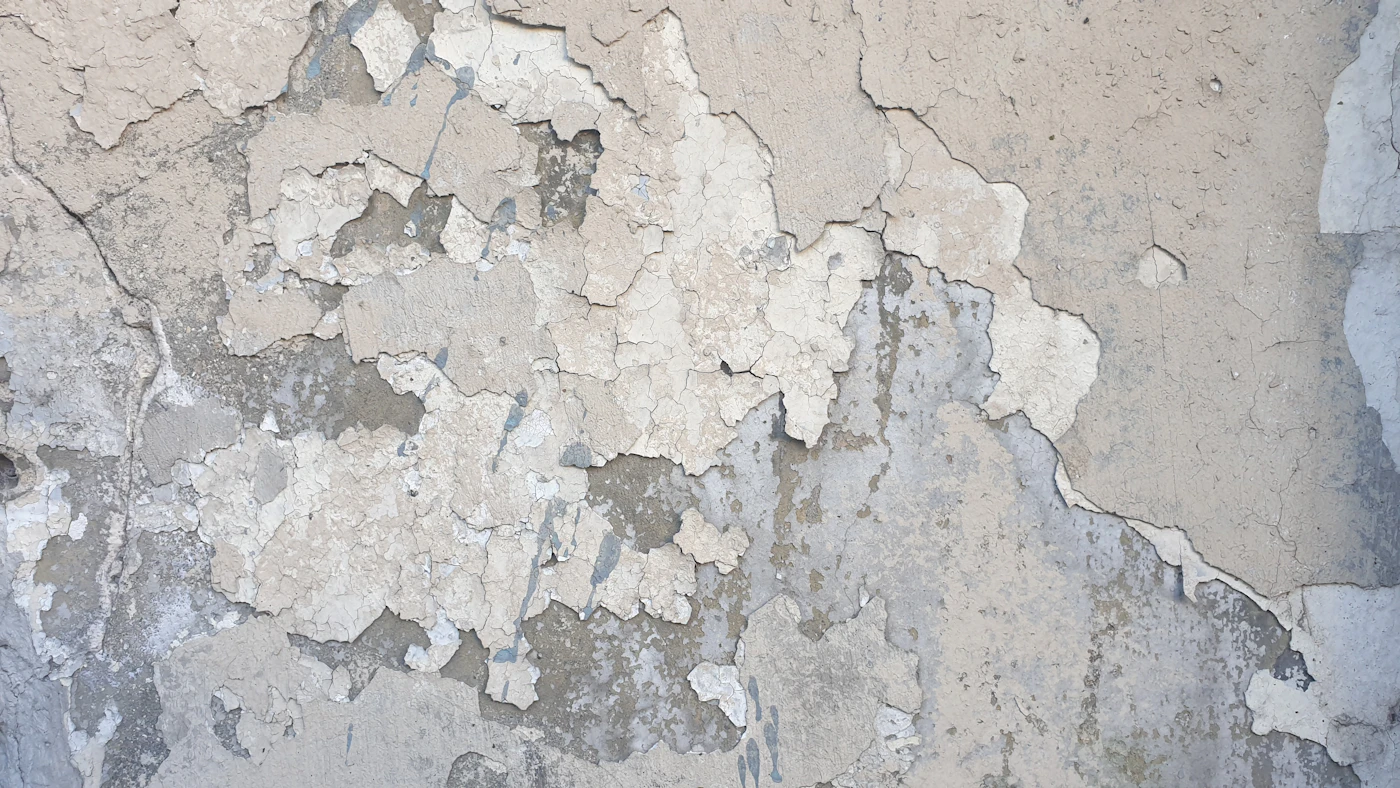 Seepage & Dampness Repair