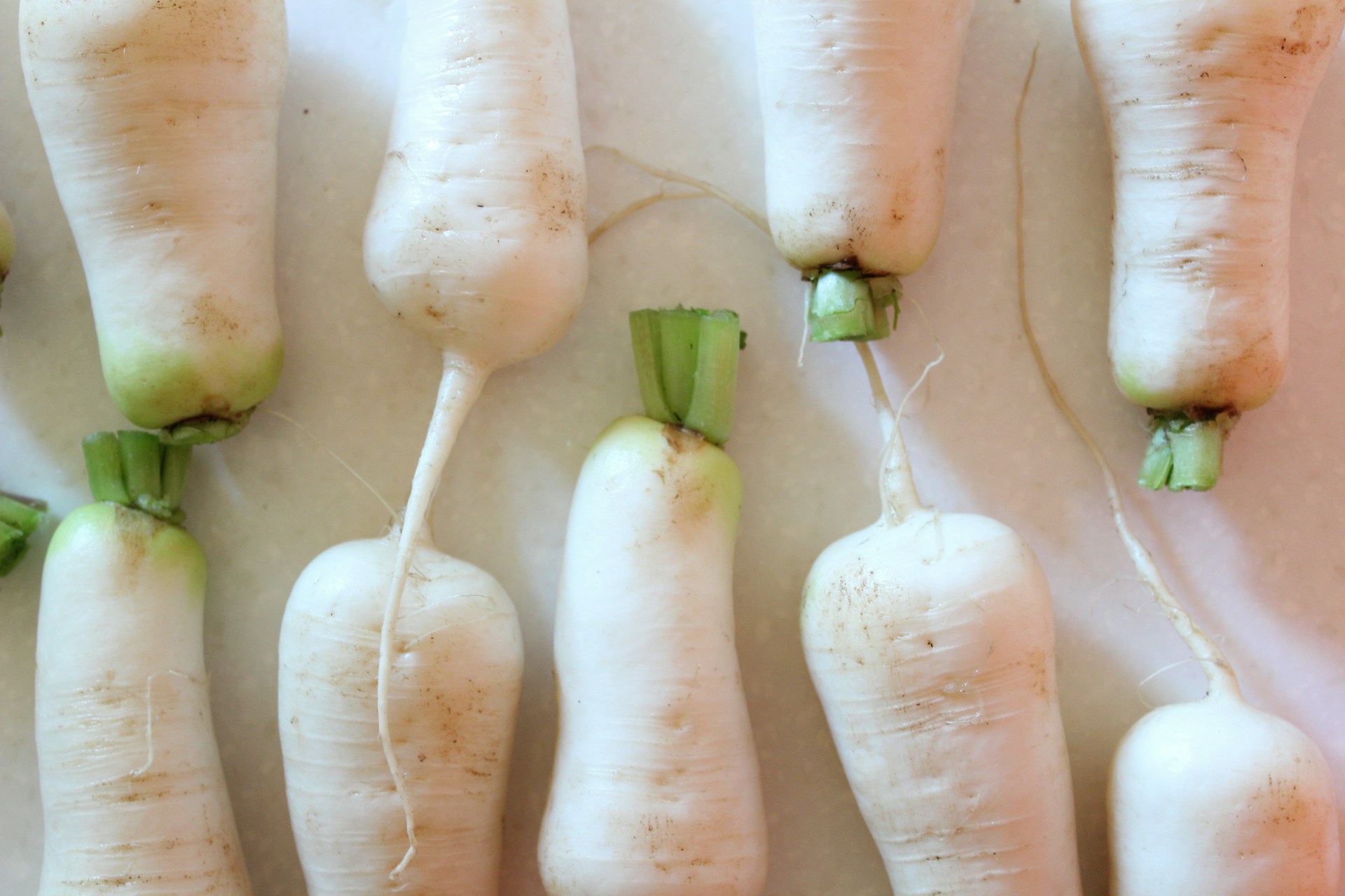 a group of yellow and white onions