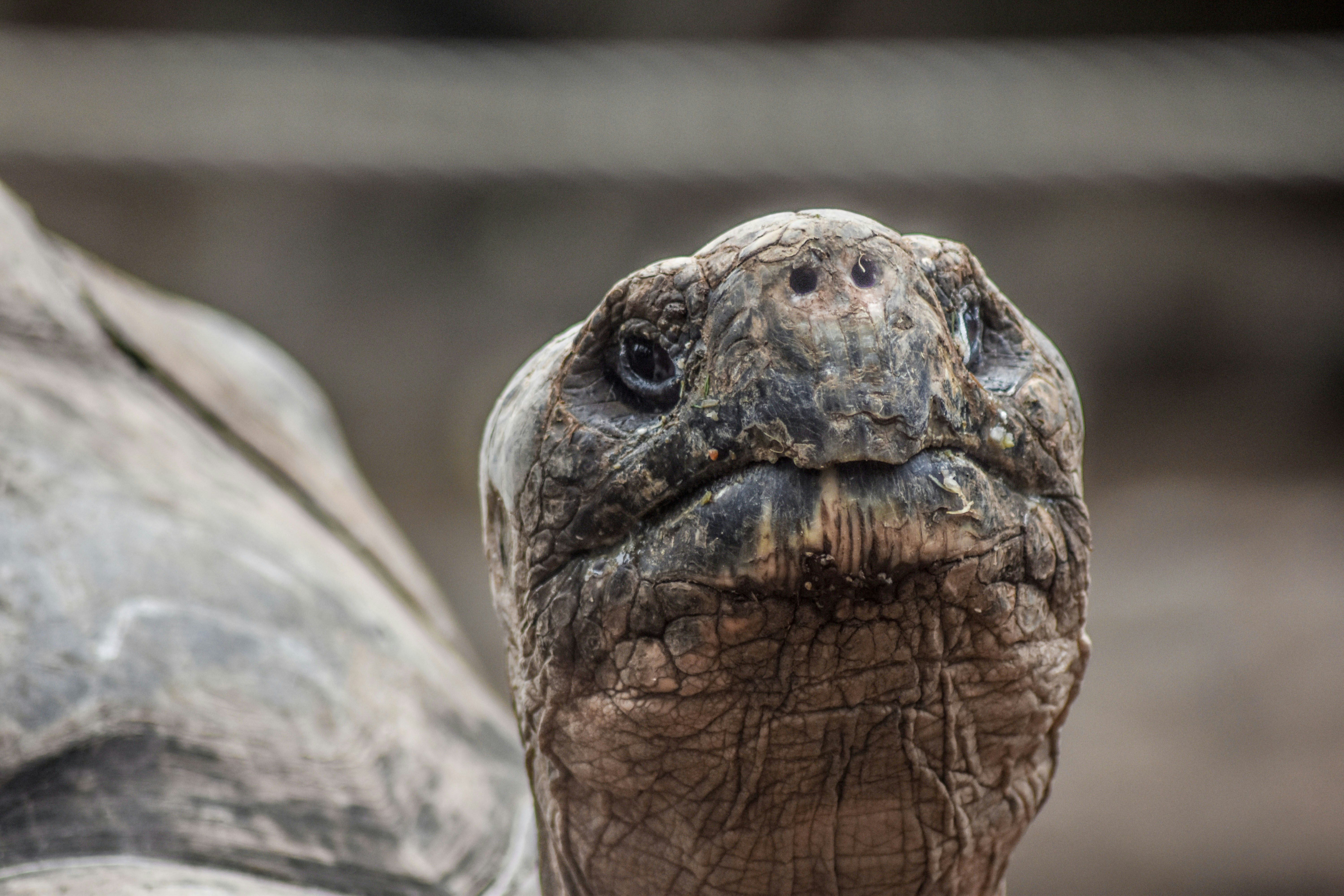 Photo by ronaldo2416