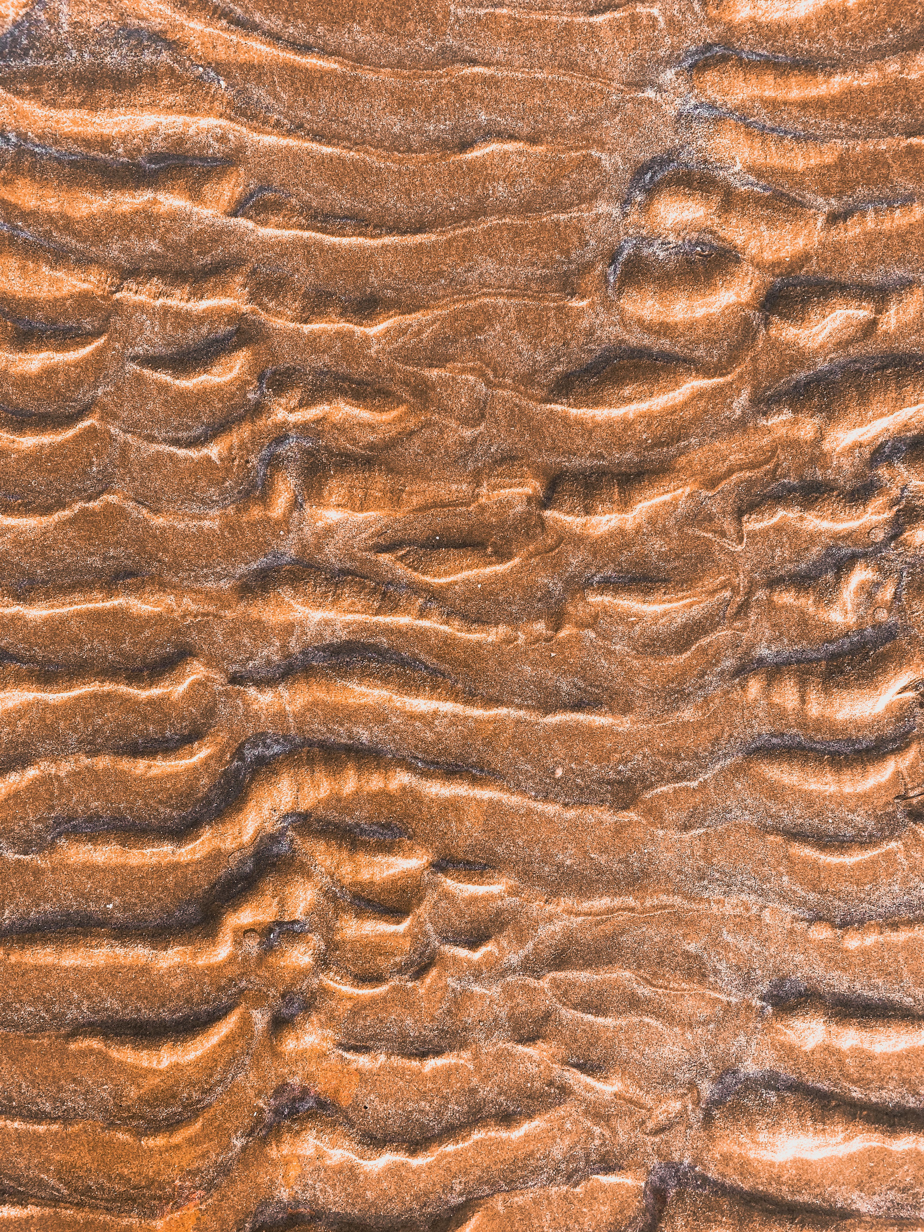 Photo by your_scorpion