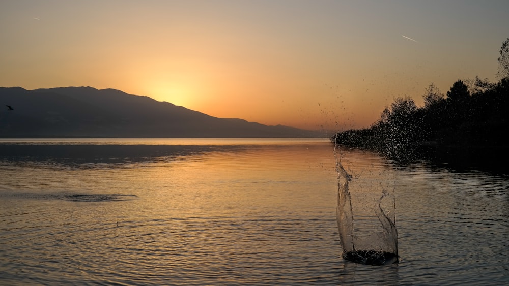 Un cuerpo de agua con árboles y montañas al fondo