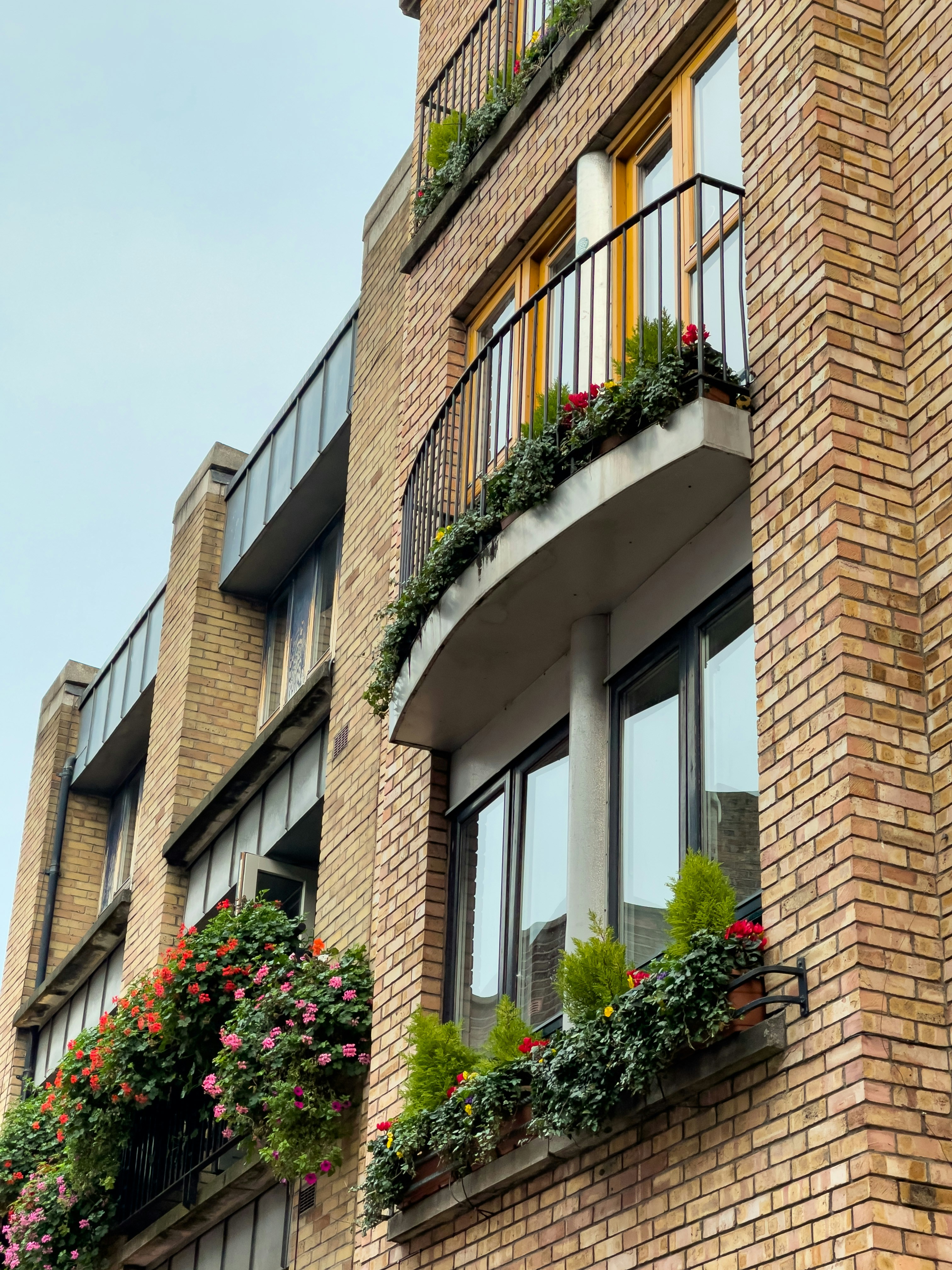 Photo by alpha_kilo_photography