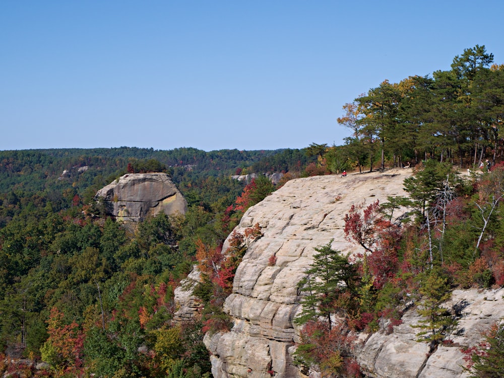 a rocky cliff with trees and bushes