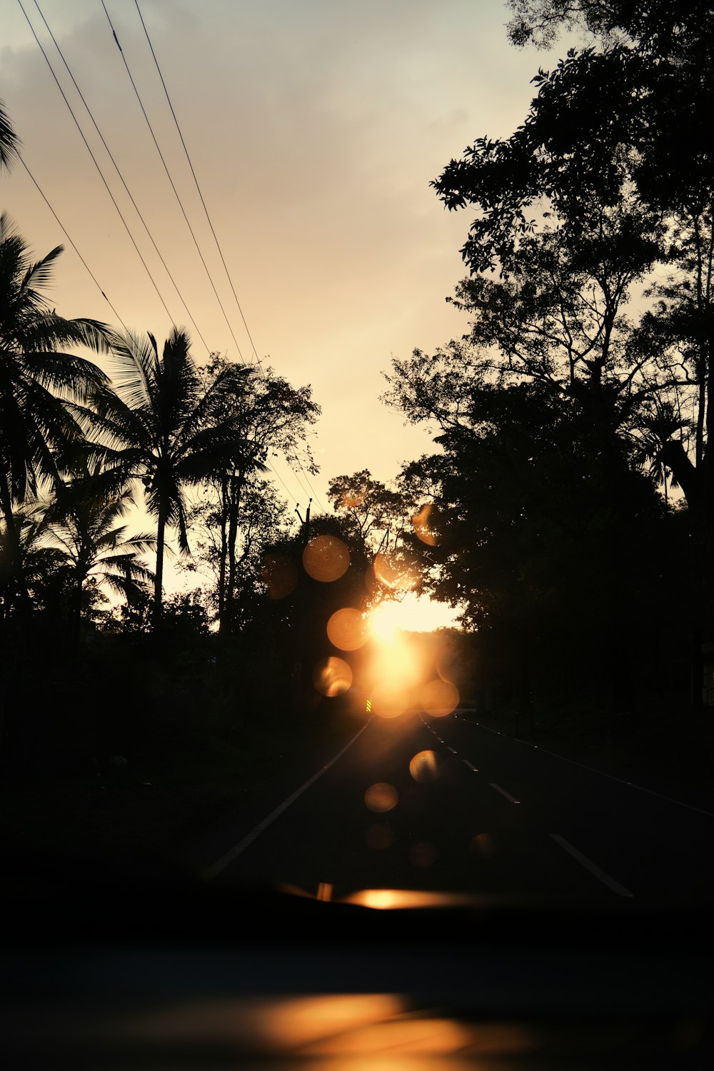 a sunset behind palm trees