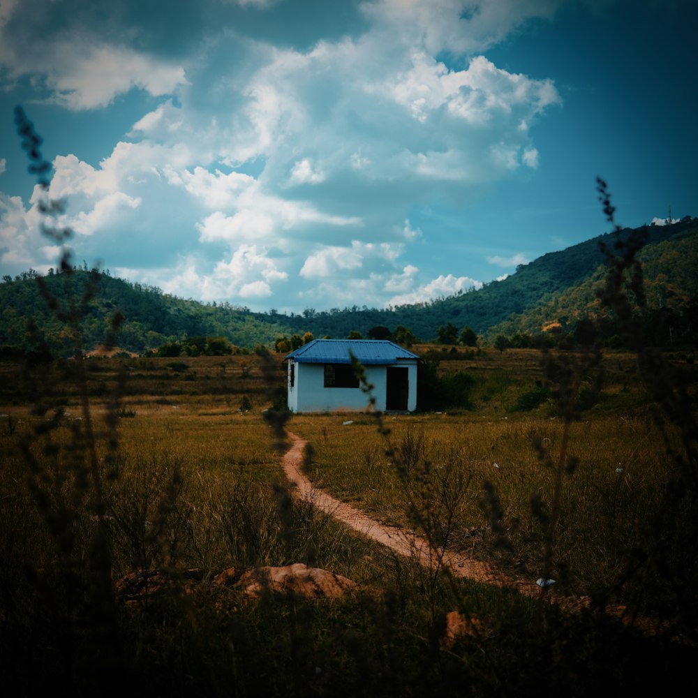 a house in a field