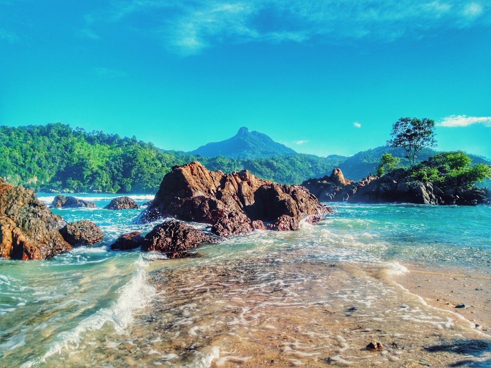 a rocky beach with trees and mountains in the background