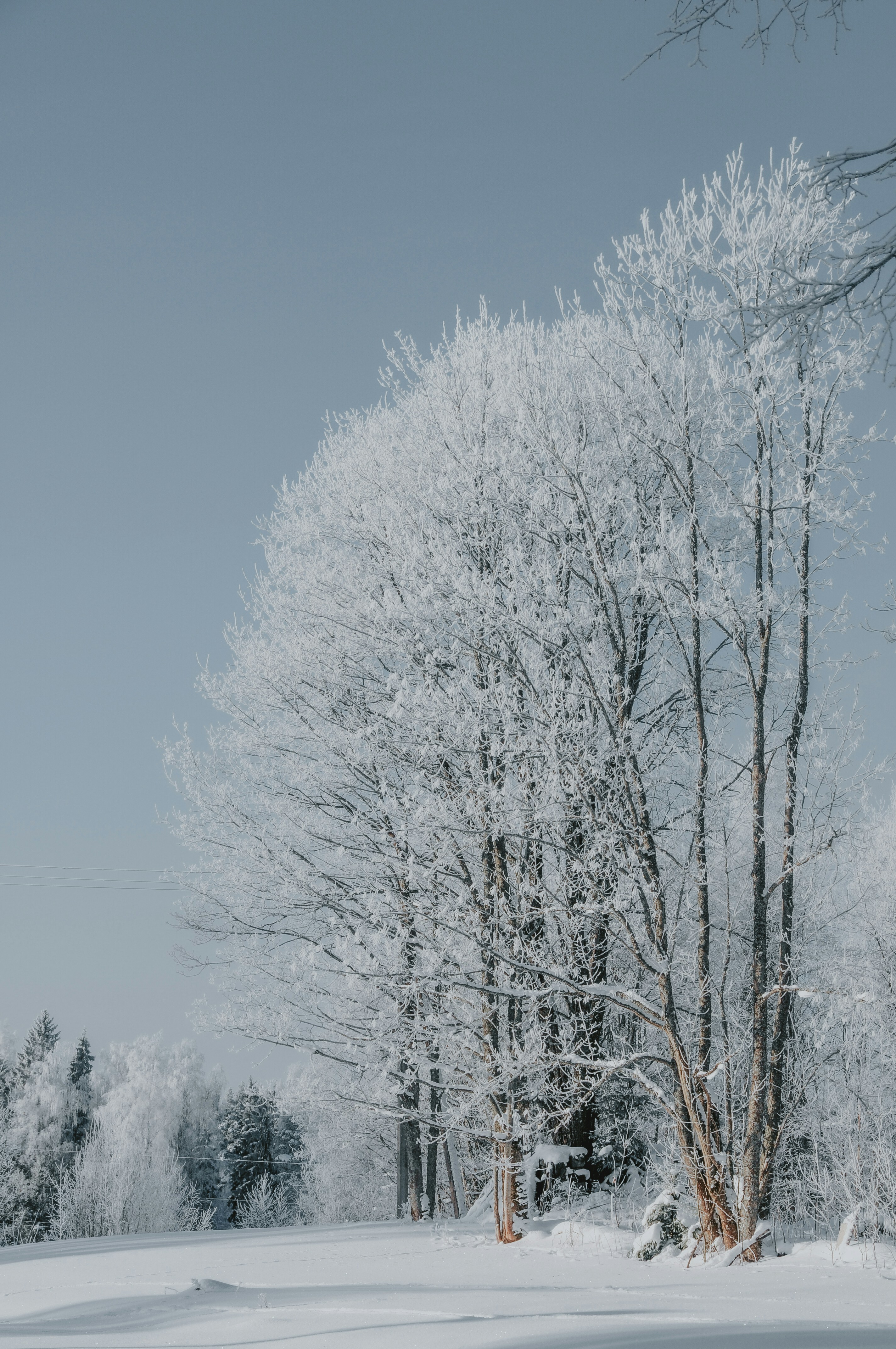 Photo by anitaaustvika