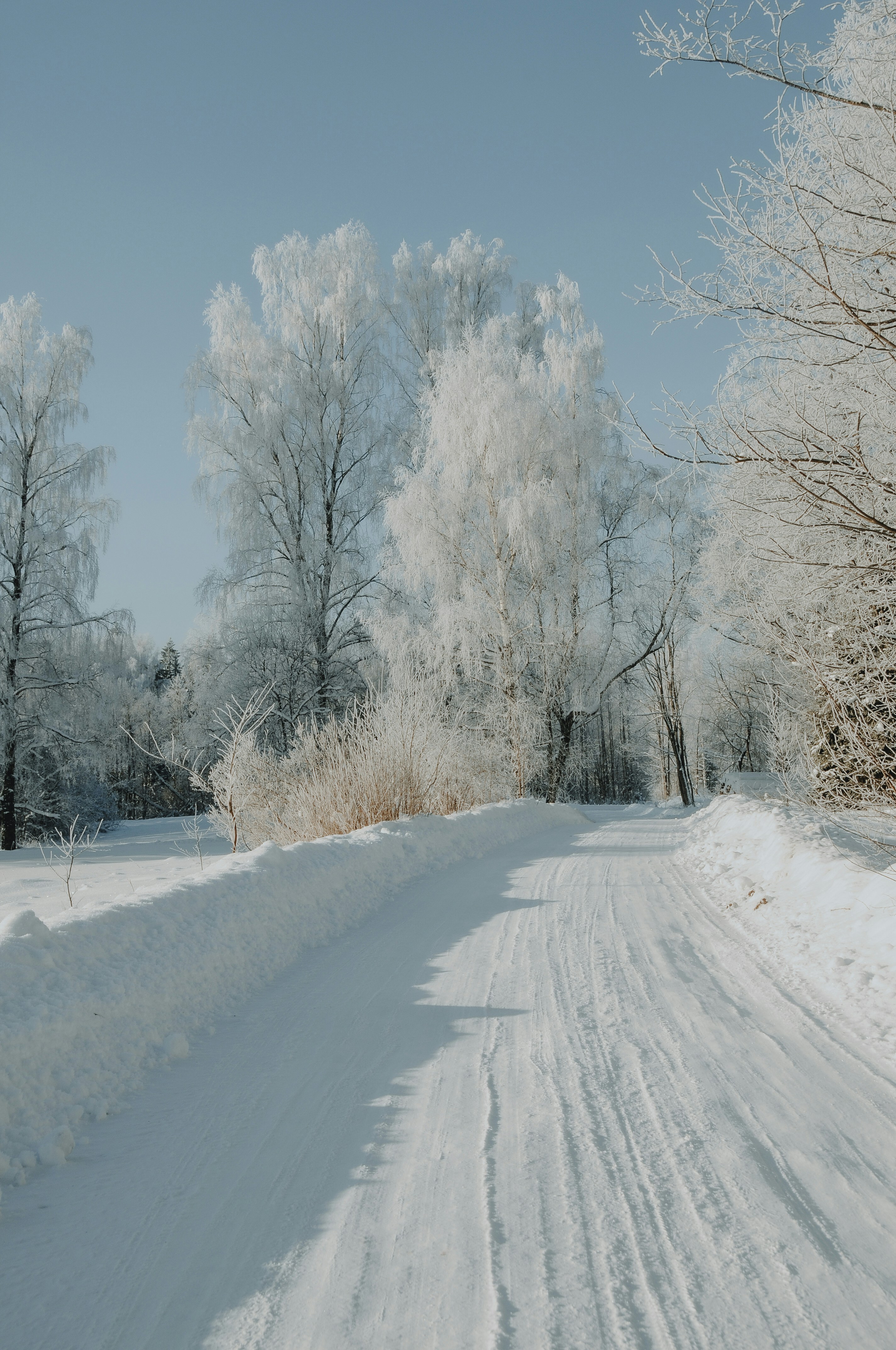 Photo by anitaaustvika