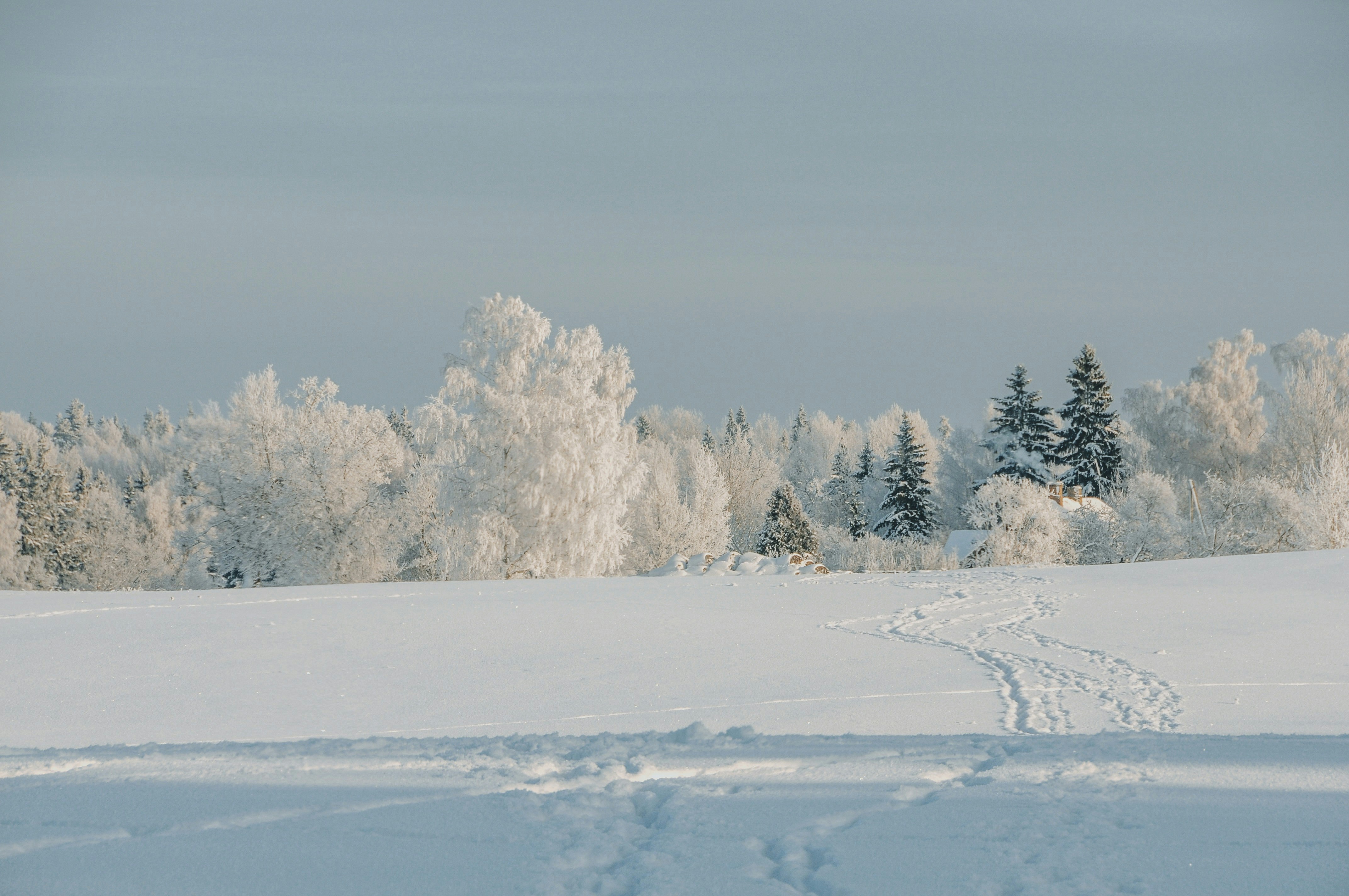 Photo by anitaaustvika