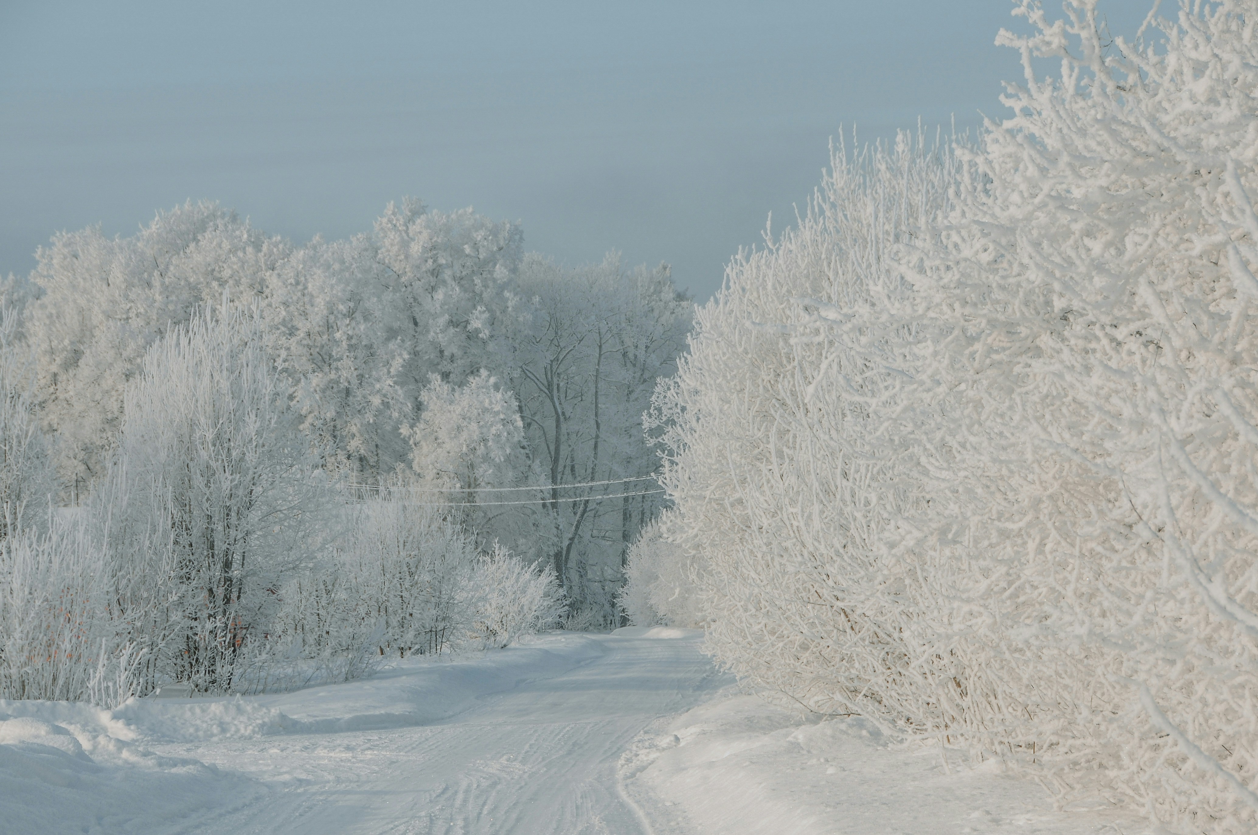 Photo by anitaaustvika