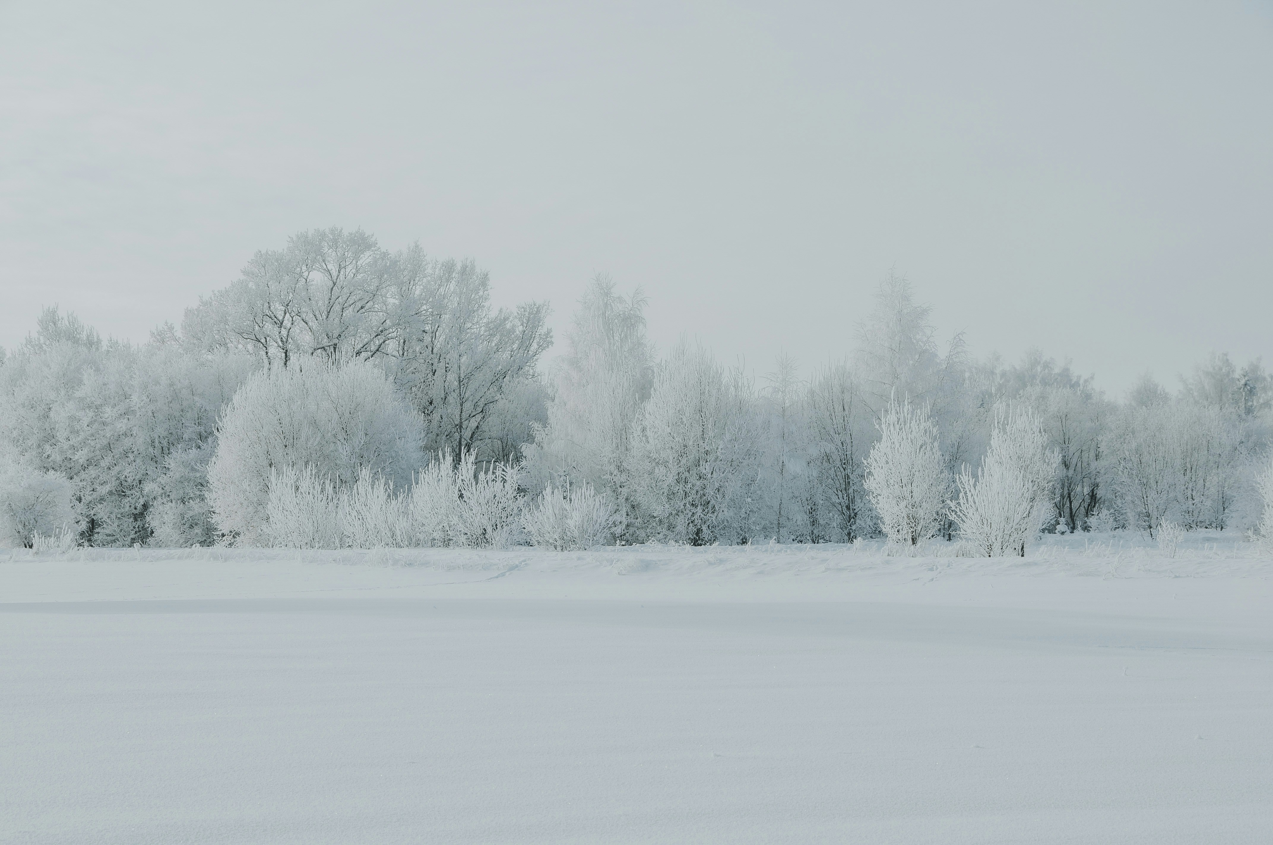 Photo by anitaaustvika