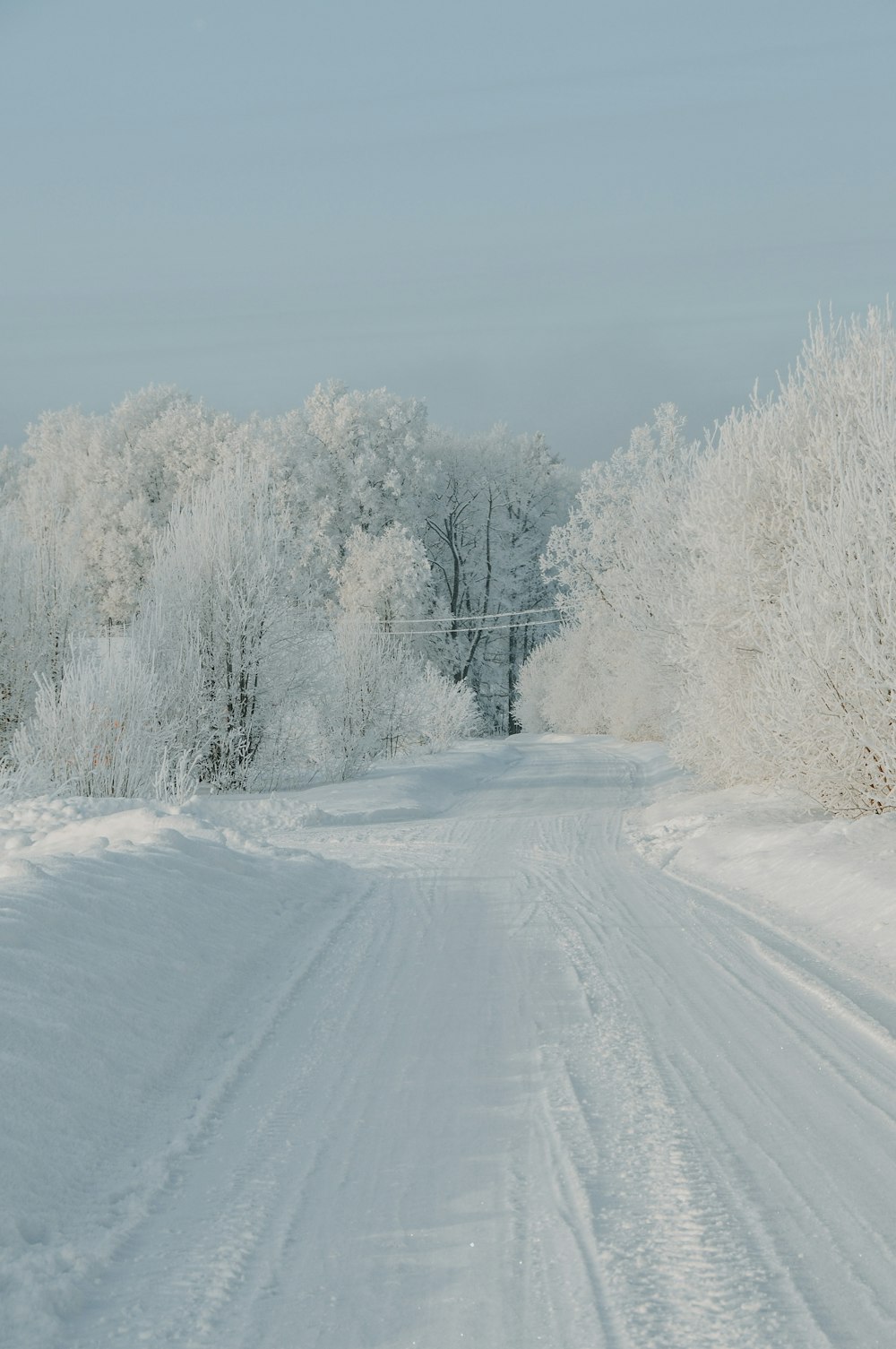 a snowy road with trees on either side of it