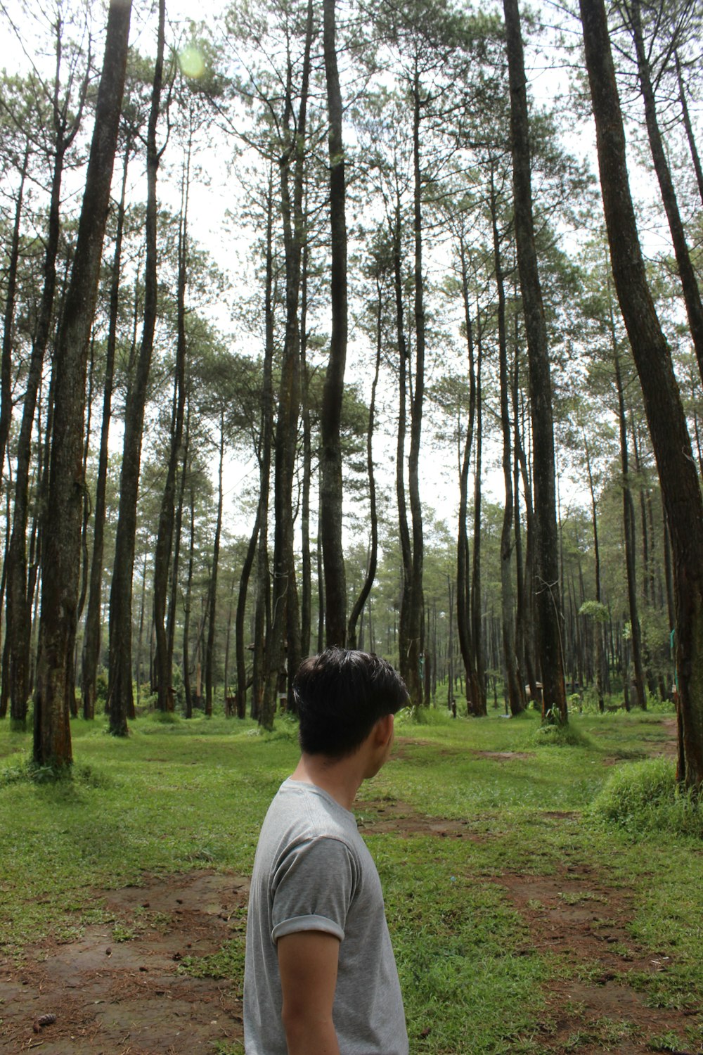 a boy looking at a tree