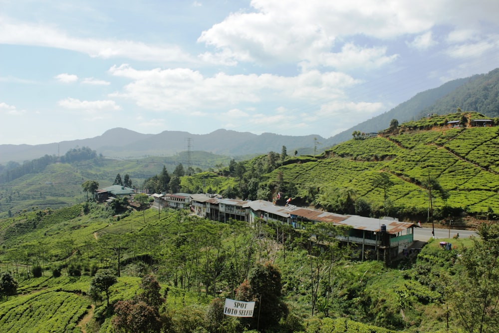 a train going through a valley