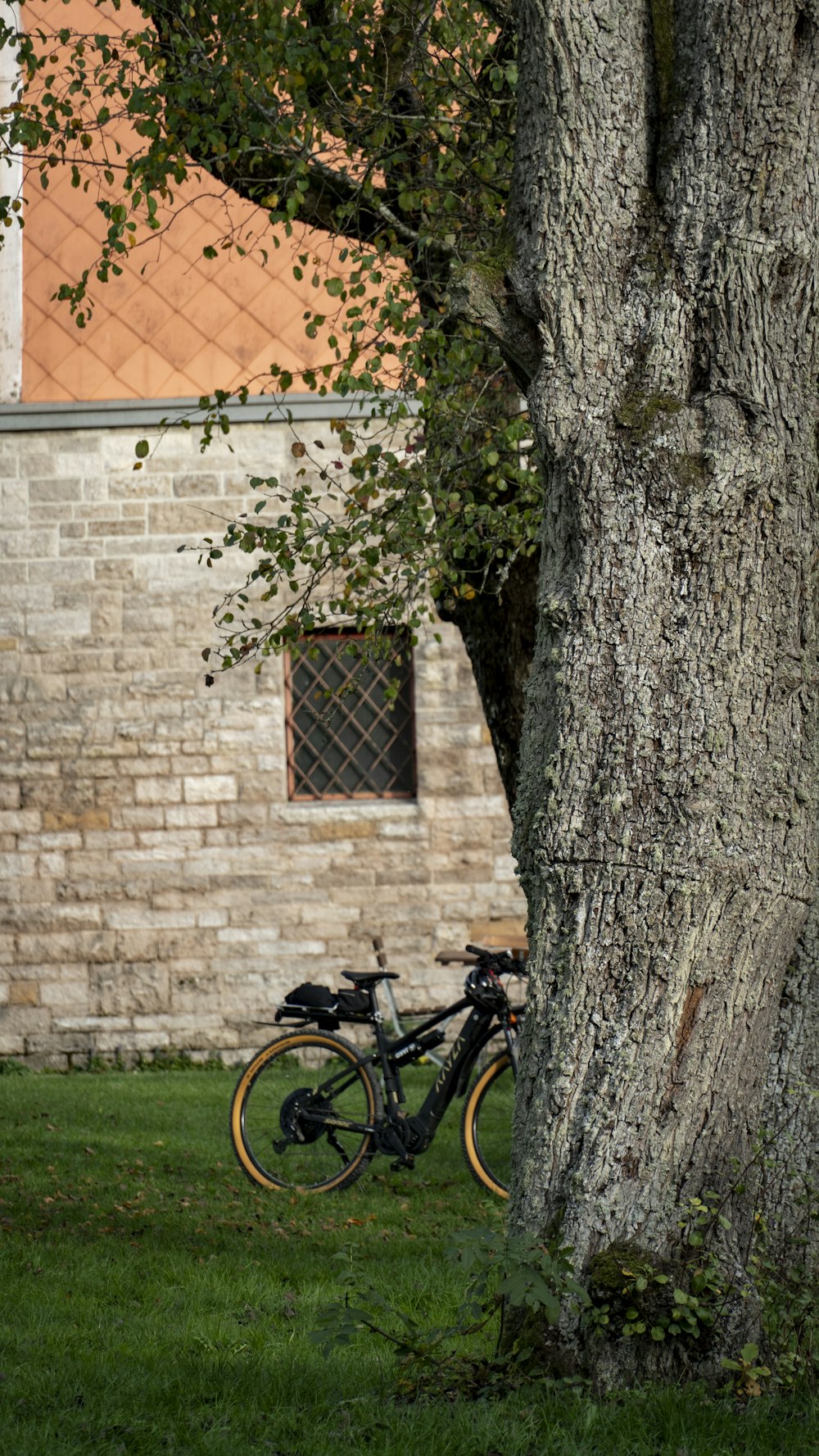 Ein Fahrrad neben einem Baum geparkt