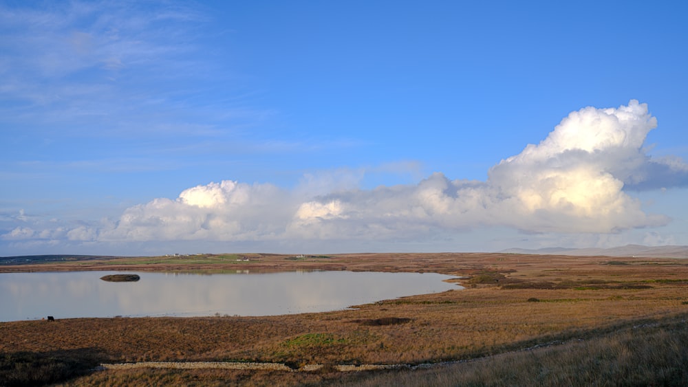 a body of water with grass and a cloudy sky