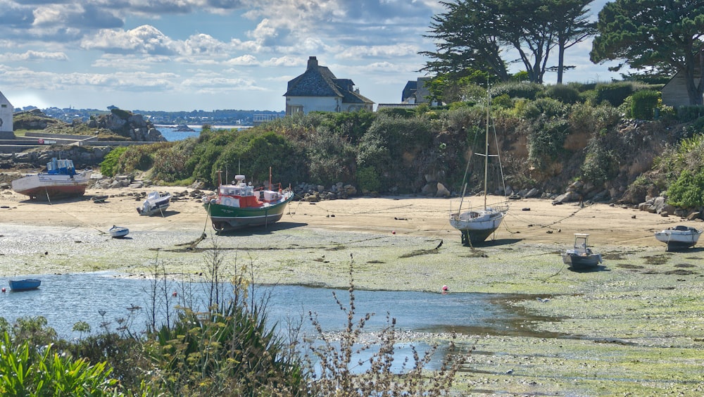 boats on the water