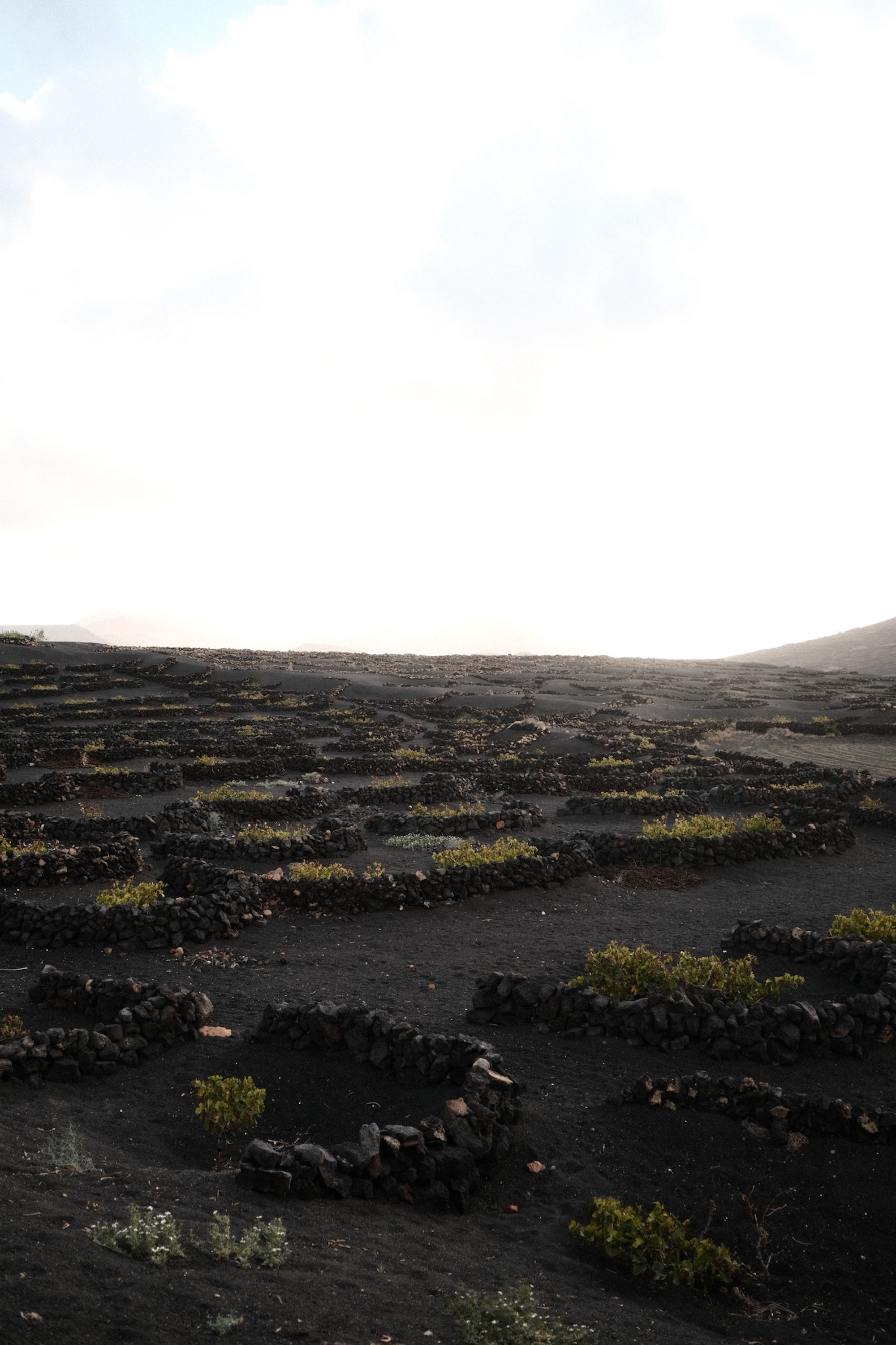 Photo by julenreyazcona