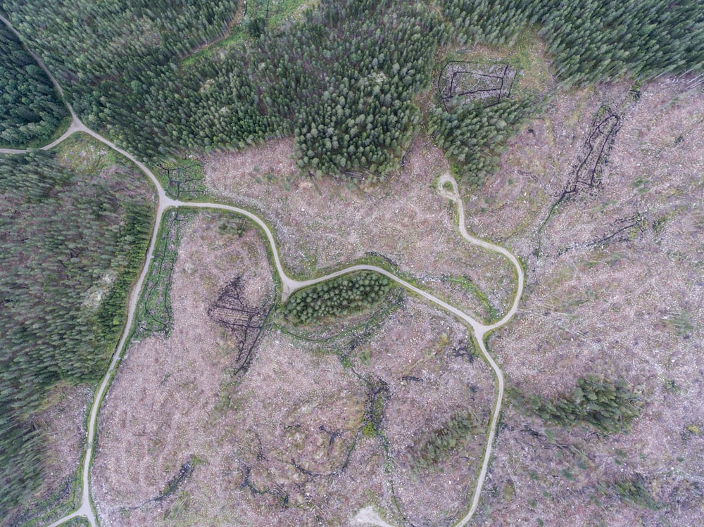 un grand terrain avec une route et des arbres