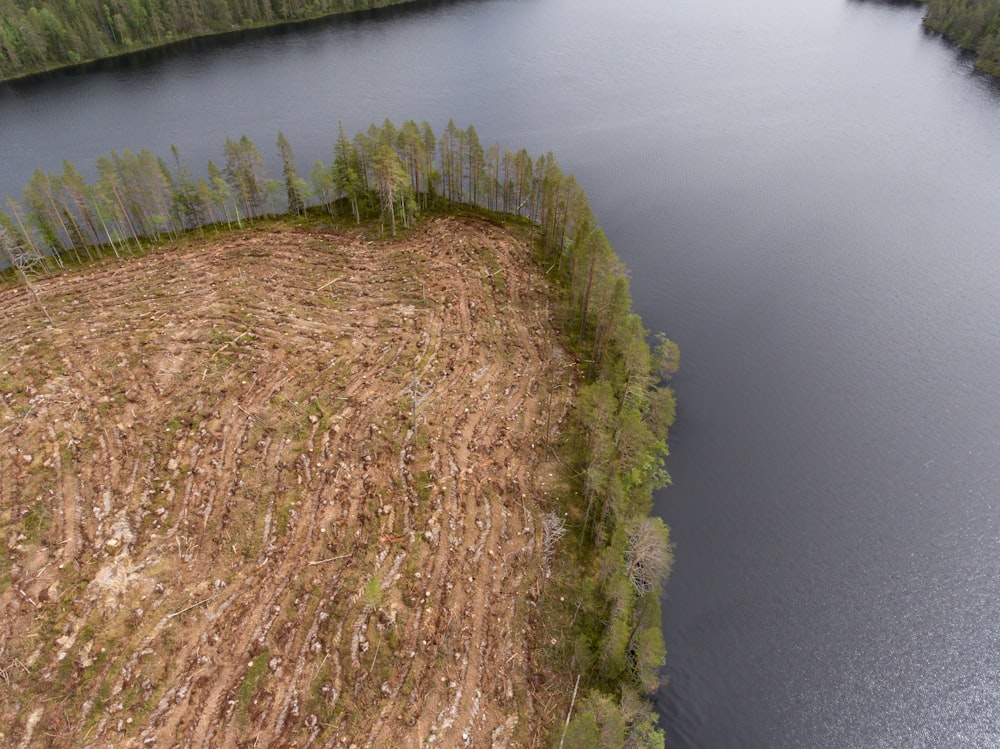 Une rivière avec des arbres sur les rives