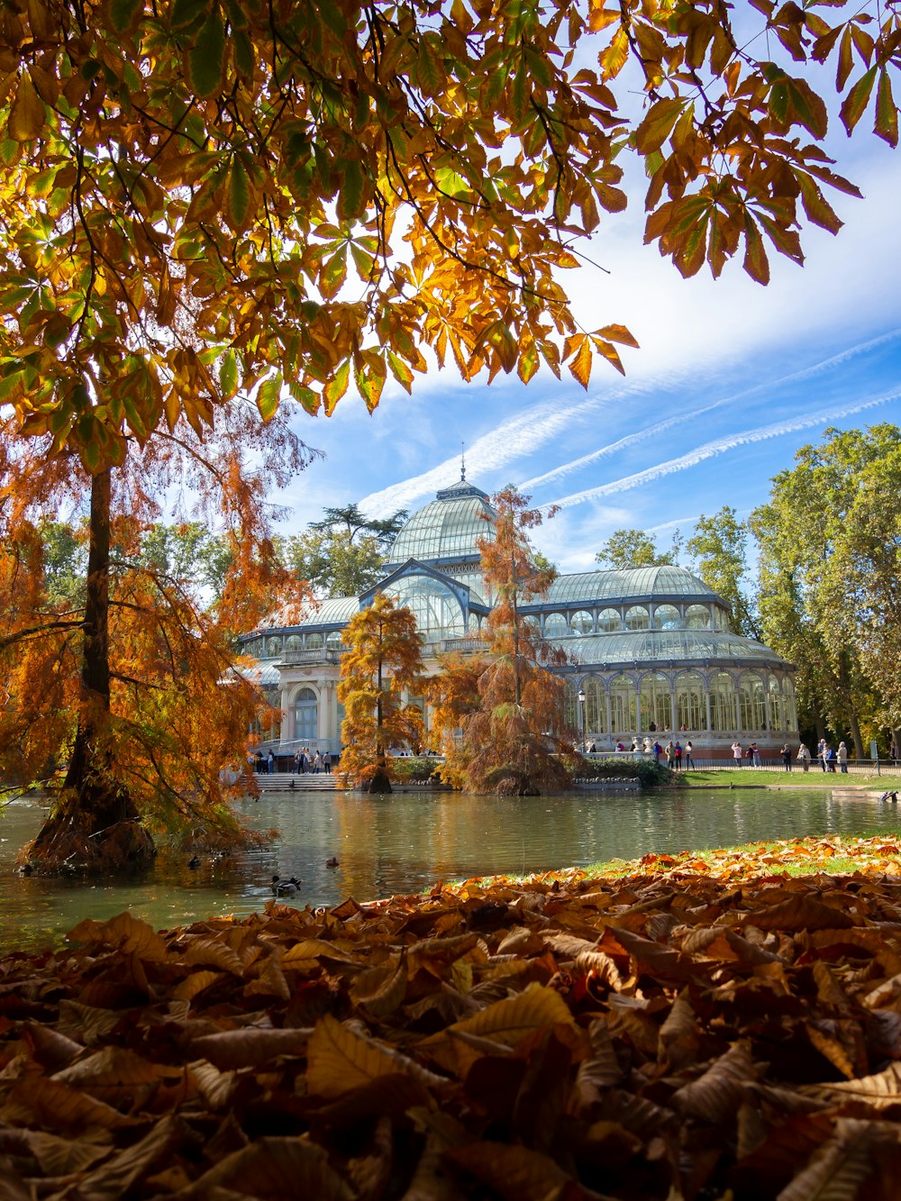 a building with a dome roof by a body of water