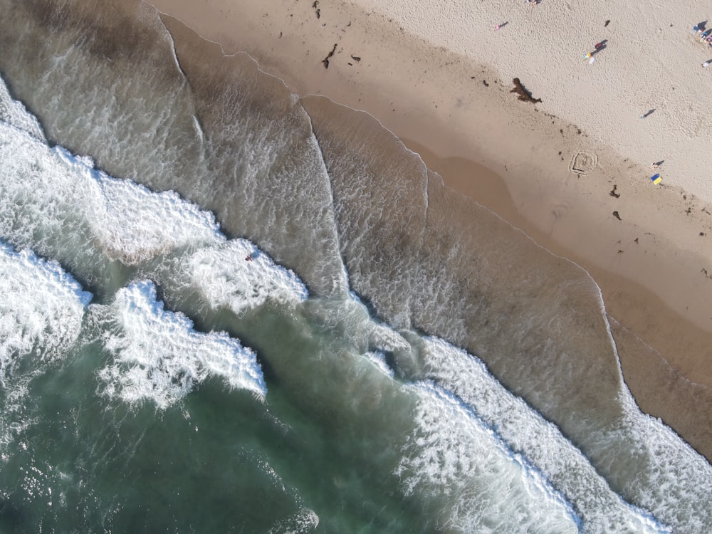 ein großes Gewässer mit Strand und Vögeln