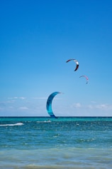 people parasailing in the ocean
