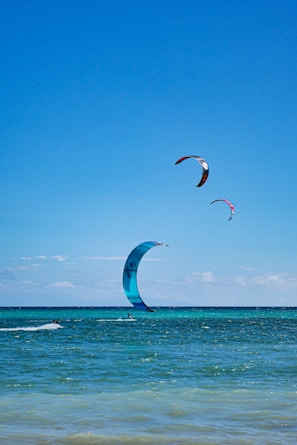 people parasailing in the ocean