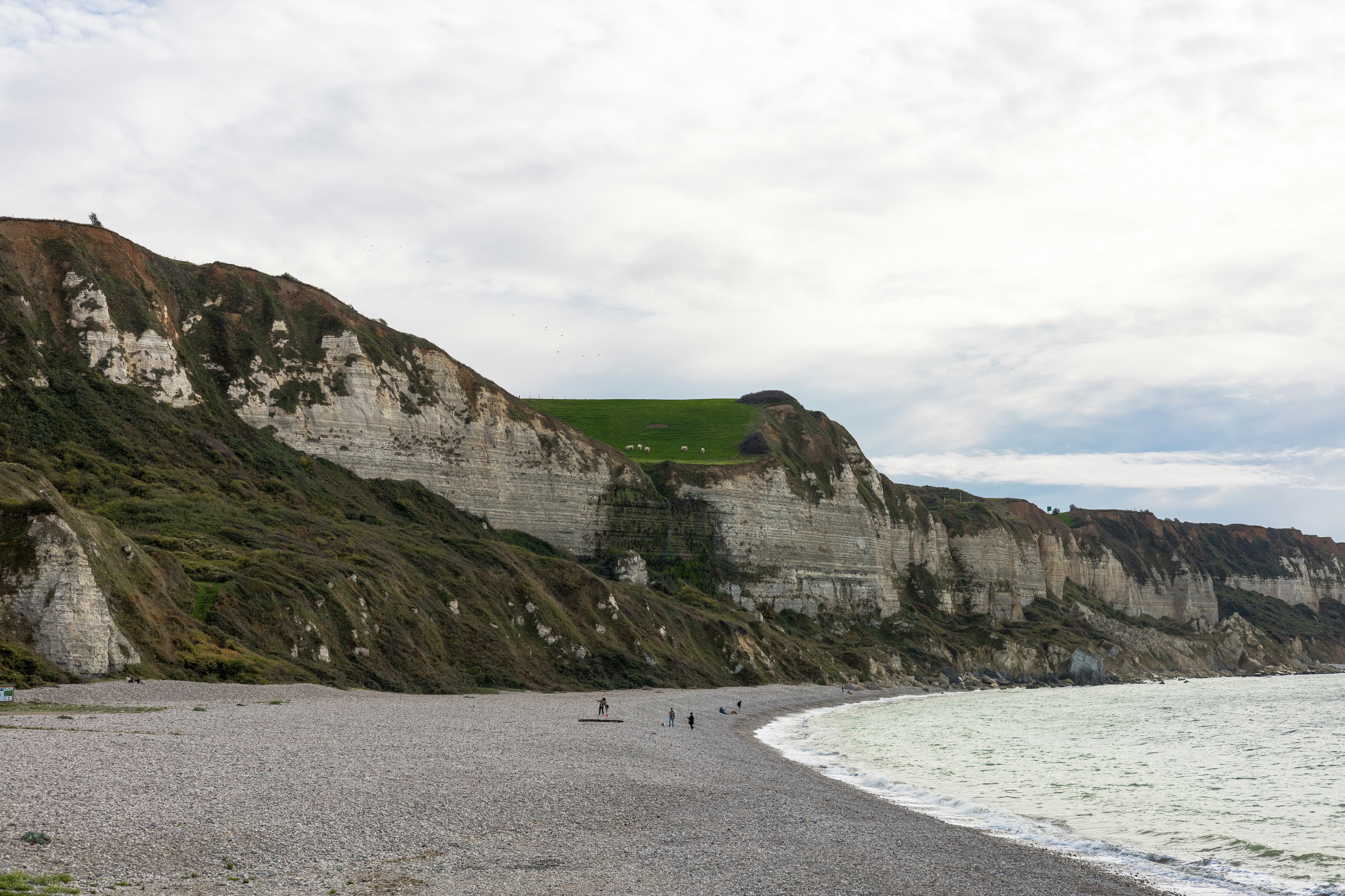 Photo by martinkurbel