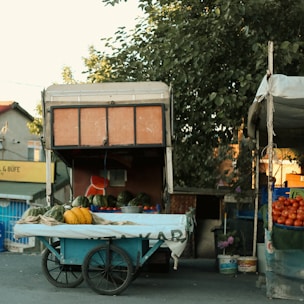 A street vendor setup with a cart displaying an assortment of watermelons and squash. The background includes a small fruit stall with more produce and a shaded area covered by trees. The scene is set in an urban environment with nearby buildings.