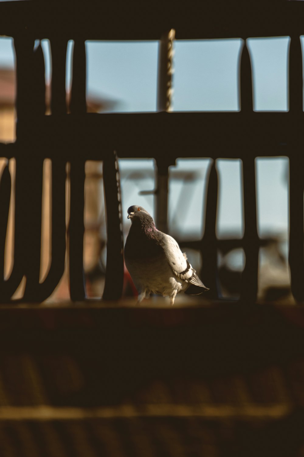 a bird on a railing