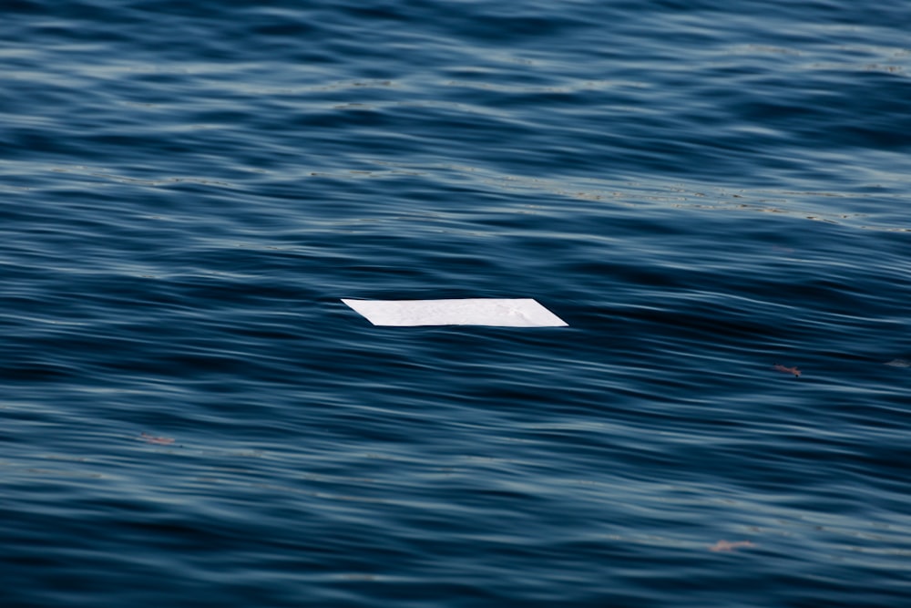 a white object floating in water