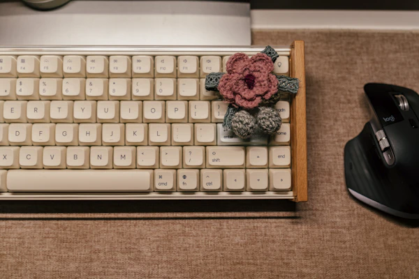 Keyboard / Mouse