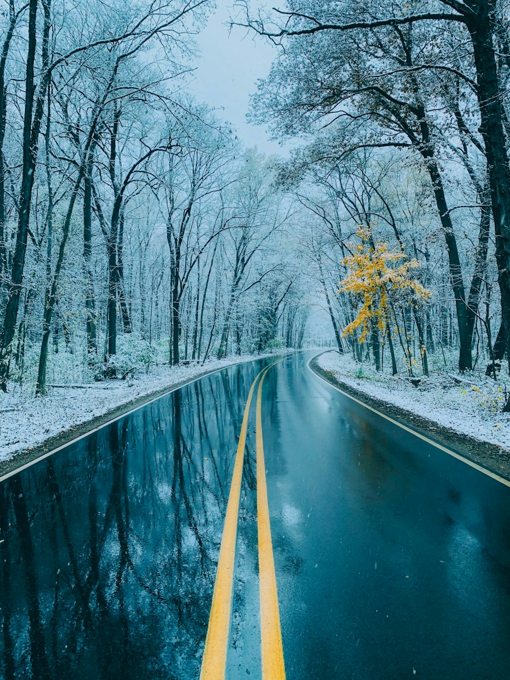 a road with snow on the side