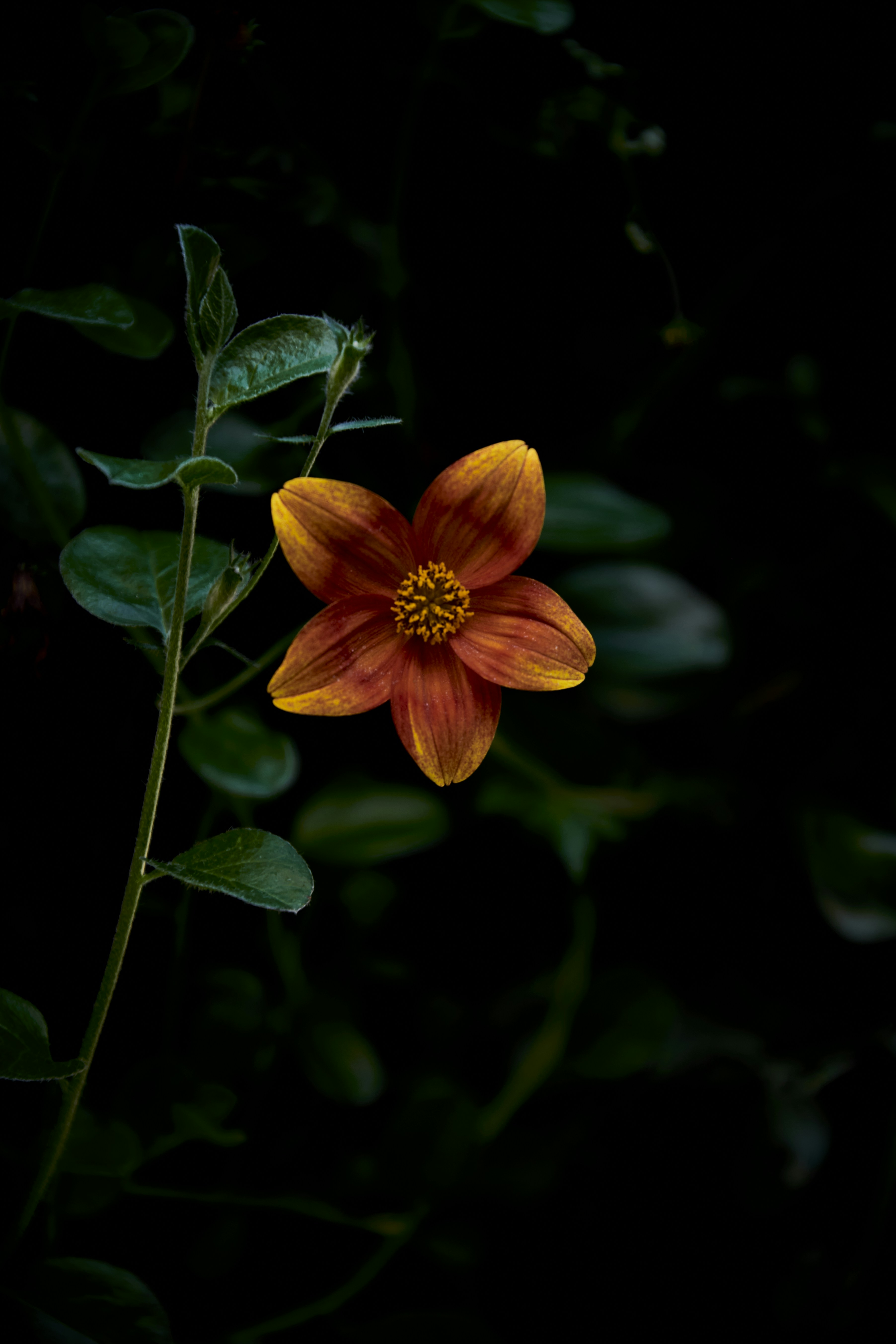 Photo by perfectmirror